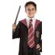 CRAVATE HARRY POTTER