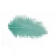 PLUMES 10GR 5/10CM VERT PASTEL