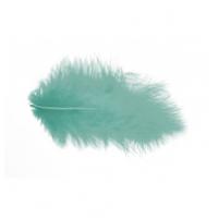 PLUMES 10GR 5/10CM VERT PASTEL