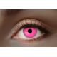 LENTILLES ANNUELLES UV ROSE X2