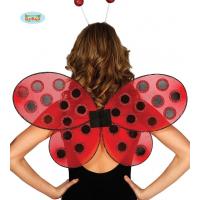 AILES COCCINELLE