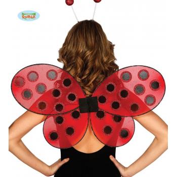 AILES COCCINELLE