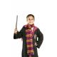 ECHARPE HARRY POTTER