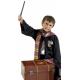 COFFRE DE DEGUISEMENT HARRY POTTER