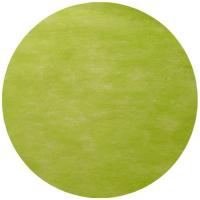 SET DE TABLE ROND Ø 34 CM VERT AMANDE X50