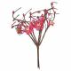 FLEURS DE POMMIER FUSHIA 2X6