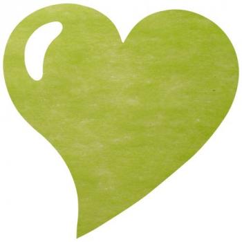 SET DE TABLE COEUR VERT AMANDE X50