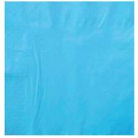 SERVIETTE OUATE 2 PLIS TURQUOISE X100