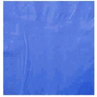 SERVIETTE OUATE 2 PLIS BLEU CARAIBES 38x38 CM X100