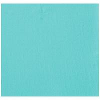 SERVIETTE MICRO GAUFFRE 25X25CM TURQUOISE X50