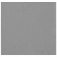 SERVIETTE MICRO GAUFFRE 25X25CM GRIS X50