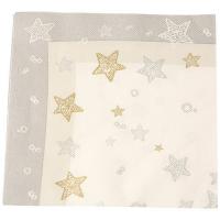 SERVIETTE VS 40X40 STELLA GRIS X25