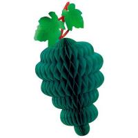 RAISIN ALVEOLE 40CM VERT