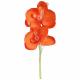 ORCHIDEE DOUBLE 12CM ORANGE