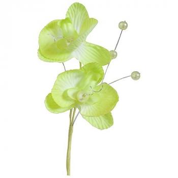 ORCHIDEE DOUBLE 12CM VERT ANIS