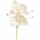 ORCHIDEE DOUBLE 12CM IVOIRE