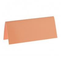 MARQUE PLACE RECTANGLE X10 CORAIL