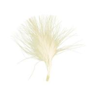 PLUMES 5/10 CM IVOIRE 10 G