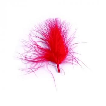 PLUMES 5/10 CM ROUGE 10 G