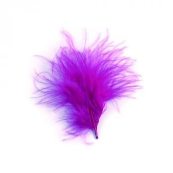 PLUMES 5/10 CM PRUNE 10 G