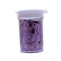 POT PAILLETTES HOLO PARME15GR