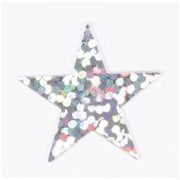 CONFETTIS ETOILES HOLO ARGENT 14GR