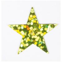 CONFETTIS ETOILES HOLO VERT 14GR