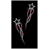 CHEMIN DE TABLE ETOILE NOIR ARGT FUSHIA 36CMX5M ORGANZA