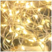 GUIRLANDE 20 MINI LED BLANC CHAUD 2M