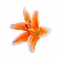 SACHET 6 FLEURS ORANGE 13CMX12CM