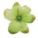 FLEUR PLUME ET STRASS X 4 VERT TILLEUIL