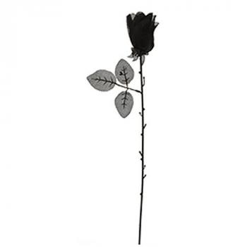 ROSE NOIRE 50CM