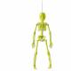 SQUELETTE JAUNE FLUO 41 CM