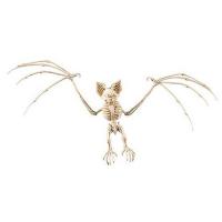 CHAUVE SOURIS SQUELETTE 70 CM