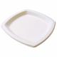 ASSIETTE PULPE CARREE 17X17 X25