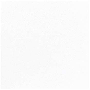 SERVIETTE DUNILIN BLANCHE BRILLANTE 40CM X10