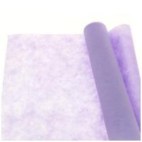 Nappe Intissée BRICOTEX Parme 1,2m X 25m