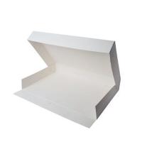 BOITE DE TRANSPORT 42X29X6CM BLANC X1
