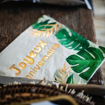 Serviettes Joyeux Anniversaire Savane 33x33cm X16 Anniversaire Decoration Fete